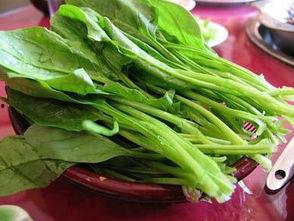 菠菜最新爆料视频大全,揭秘幕后真相与精彩瞬间